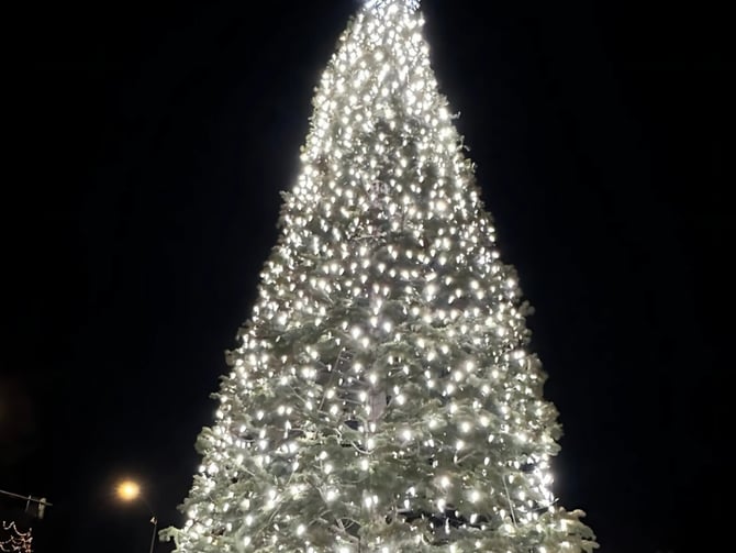 Holiday Tree Lighting